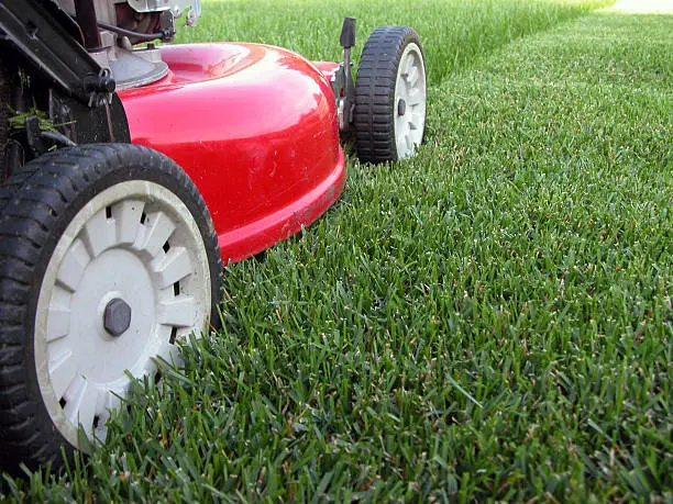 Lawn Mowing in Chico, CA