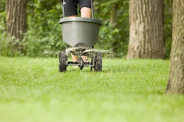 Quality Lawn Fertilization in Chico, CA