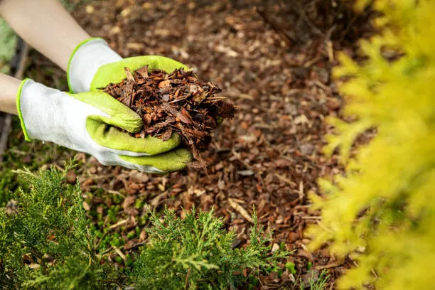 Quality Mulching in Chico, CA