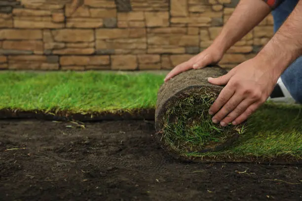 Quality Sod Installation in Chico, CA