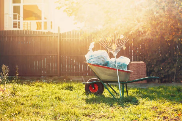 Quality Yard Cleanup in Chico, CA