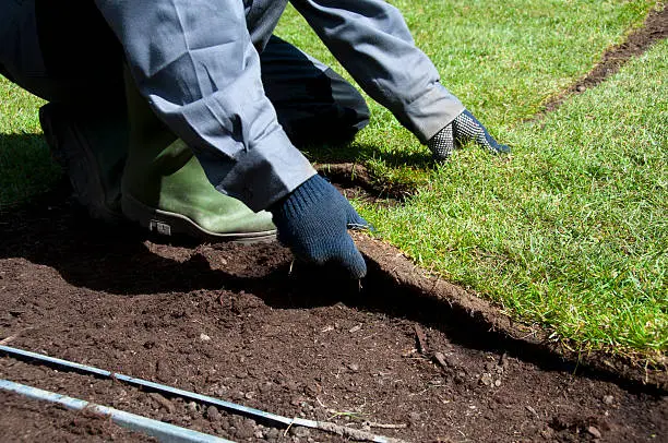 Sod Installation in Chico, CA