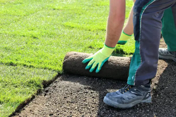 Sod Installation in Chico, CA