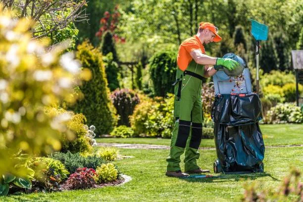 Yard Cleanup in Chico, CA